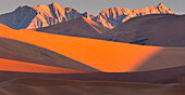 Sanddünen und die Naukluft-Berge im goldenen Licht des Sonnenuntergangs im Namib-Naukluft-Park, Sossusvlei, Namibia