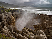 Bei Flut und starkem Wellengang entsteht an einem felsigen Blowhole ein Nebelschwall, Greymouth, Punakaiki, Südinsel, Neuseeland
