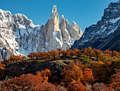 Views along the day hike to Laguna Torre peak with fall color of southern beech,or Nothofagus trees in Los Glaciares National Park,El Chalten,Argentina