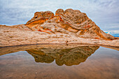 Landschaftlicher Blick auf Felsformationen, die sich in einem Teich in dem als White Pocket bekannten Gebiet spiegeln, wo erstaunliche Linien, Konturen und Formen fremde Landschaften schaffen, in Arizona, Arizona, Vereinigte Staaten von Amerika