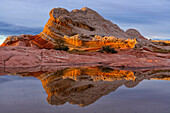 Blick auf die Navajo-Felsformation, bekannt als The Lollipop, die sich bei Sonnenuntergang in einem Teich in der wundersamen Gegend von White Pocket spiegelt, wo erstaunliche Linien, Konturen und Formen fremde Landschaften schaffen, Arizona, Vereinigte Staaten von Amerika