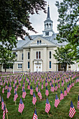 Flaggen im Rasen für die Feier zum 4. Juli, Lititz, Pennsylvania, Vereinigte Staaten von Amerika