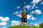 Hölzerne Windmühle auf einem grasbewachsenen Hügel mit blauem Himmel und flauschigen weißen Wolken, Brügge, Belgien