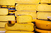 Nahaufnahme eines großen runden Käses, der in Hälften und Stücke geschnitten ausgestellt ist,Delft,Niederlande