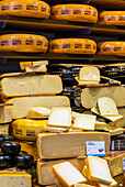 Nahaufnahme von großen Käselaiben, die in Hälften geschnitten und in Stücken ausgestellt sind, Delft, Niederlande