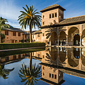 Tourists in the Garden of the Partal at the Alhambra,Granada,Spain