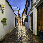 Eine schmale Straße zwischen regennassen Häusern, Córdoba, Provinz Córdoba, Spanien