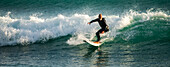 Surfen in der Abenddämmerung in der Houghton Bay, Wellington, Neuseeland