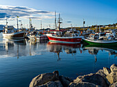 Fischerboote im Hafen von Husavik,Nordurthing,Nordöstliche Region,Island