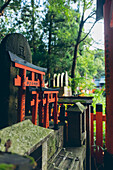 Torii gates of Fushimi Inari Taisha,Kyoto,Kansai,Japan