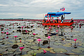 Touristen am Meer des Roten Lotus, Thailand