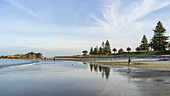 Spaziergänger in der Brandung am Strand, Bay of Plenty, Region Bay of Plenty, Neuseeland