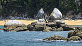 Menschen genießen den Strand im Abel Tasman National Park, einem Wildnisreservat am nördlichen Ende der Südinsel Neuseelands, Tasman District, Neuseeland