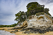 Rock formation with trees on the sandy beach at the seaside resort town of Kaiteriteri in the Abel Tasman National Park,Tasman Region,South Island,New Zealand