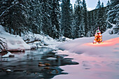 Ein immergrüner Baum ist in einer verschneiten Landschaft an einem ruhigen Fluss und einem Wald in den Rocky Mountains in British Columbia, Kanada, mit Weihnachtslichtern beleuchtet.