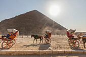 Horse and carriage rides at the Great Pyramid of Giza,Giza Plateau,Ancient Egypt,Giza,Egypt