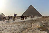 Kamele und Reiter im Pyramidenkomplex von Gizeh, Gizeh-Plateau, Altes Ägypten, Gizeh, Ägypten