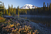 Snow-covered Mount Rainier at sunrise,with frosty vegetation on the shore of Reflection Lake and mist rising up from the water,Washington,United States of America