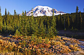 Snow-covered Mount Rainier at sunrise,with autumn coloured vegetation on the shore and mist rising up from the water of Reflection Lake,Washington,United States of America