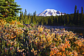 Snow-covered Mount Rainier at sunrise,with frosty vegetation on the shore and mist rising up from the water of Reflection Lake,Washington,United States of America