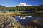 Snow-covered Mount Rainier at sunrise,with frosty vegetation on the shore and mist rising up from the water of Reflection Lake,Washington,United States of America