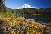 Schneebedeckter Mount Rainier mit herbstlich gefärbter Vegetation am Ufer und dem Wald, der sich im Wasser des Reflection Lake spiegelt,Washington,Vereinigte Staaten von Amerika