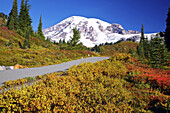 Wanderweg und herbstlich gefärbtes Laub, der zu einem schneebedeckten Berg hinaufführt, Washington, Vereinigte Staaten von Amerika