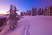 Fußspuren, die durch unberührten Schnee auf dem Mount Hood in der Morgendämmerung führen, mit rosa Sonnenlicht, das sich im Schnee spiegelt, Oregon, Vereinigte Staaten von Amerika