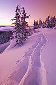 Fußspuren, die durch unberührten Schnee auf dem Mount Hood in der Morgendämmerung führen, mit rosafarbenem Sonnenlicht, das sich im Schnee spiegelt, Oregon, Vereinigte Staaten von Amerika