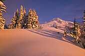 Mount Hood Wildnis im Winter bei Sonnenaufgang, mit unberührtem Tiefschnee, der warmes rosa Licht und einen blauen Himmel reflektiert, Oregon, Vereinigte Staaten von Amerika