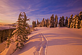 Fußspuren, die durch unberührten Schnee auf dem Mount Hood in der Morgendämmerung führen, mit warmem, farbigem Sonnenlicht, das sich auf dem Schnee spiegelt, Oregon, Vereinigte Staaten von Amerika