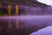 Mist hanging over a tranquil Trillium Lake at sunrise,Mount Hood National Forest,Oregon,United States of America