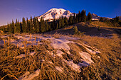 Snow in an alpine meadow on Mount Rainier with the peak against a bright blue sky,Mount Rainier National Park,Washington,United States of America