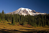 Mount Rainier und Wald, Mount Rainier National Park, Washington, Vereinigte Staaten von Amerika