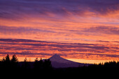 Glühende Wolken in einem wunderschönen Sonnenaufgang über einem Wald mit Silhouetten und dem Gipfel des Mount Hood in der Ferne, Pazifischer Nordwesten, Oregon, Vereinigte Staaten von Amerika