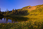 Tipsoo Lake bei Sonnenuntergang, Mount Rainier National Park, Washington, Vereinigte Staaten von Amerika