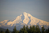 Schneebedeckter Mount Hood im Winter, mit Sonnenlicht, das den Gipfel und den Berghang beleuchtet, Mount Hood National Forest, Oregon, Vereinigte Staaten von Amerika