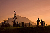 Father and daughter stand holding hands in an alpine meadow and look out at the beauty of nature during sunset in Mount Rainier National Park,Washington,United States of America