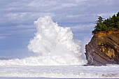 Große Welle, die auf das Ufer prallt, Shore Acres State Park, Oregon, Vereinigte Staaten von Amerika