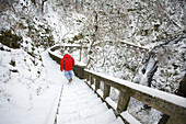 Männlicher Wanderer auf einer verschneiten Treppe in der Columbia River Gorge im Winter,Oregon,Vereinigte Staaten von Amerika