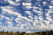Altocumuluswolken und Fernsicht auf den verschneiten Mount Hood, Oregon, Vereinigte Staaten von Amerika