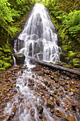 Wasserfall, der einen felsigen Abhang im üppigen Laub eines Waldes hinunterstürzt, Columbia River Gorge, Oregon, Vereinigte Staaten von Amerika