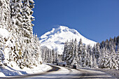 Fahrzeuge auf einer Bergstraße entlang eines verschneiten Waldes und Mount Hood im Winter, Mount Hood National Forest, Oregon, Vereinigte Staaten von Amerika