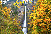 Multnomah Falls im Herbst, Columbia River Gorge, Oregon, Vereinigte Staaten von Amerika