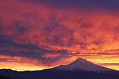 Schneebedeckter Mount Hood bei Sonnenaufgang, mit rosa und gelben Wolken, die im Hintergrund leuchten, und einer Silhouette der Landschaft darunter, Pazifischer Nordwesten, Oregon, Vereinigte Staaten von Amerika
