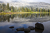 Frostiger immergrüner Wald spiegelt sich in einem ruhigen See im Winter, Pazifischer Nordwesten, Oregon, Vereinigte Staaten von Amerika