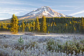 Mount Hood und Mount Hood National Forest mit Frost auf der Vegetation im Vordergrund,Oregon,Vereinigte Staaten von Amerika