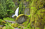 Wasserfall in einer üppigen, grünen Landschaft mit moosbewachsenen Felsen und einem Weg mit Steg in der Columbia River Gorge, Oregon, Vereinigte Staaten von Amerika