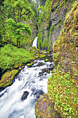 Waterfall and stream along moss-covered rocks and lush forest in Columbia River Gorge,Oregon,United States of America