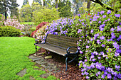 Blühende Pflanzen und eine Bank in einem üppigen botanischen Garten, Portland, Oregon, Vereinigte Staaten von Amerika